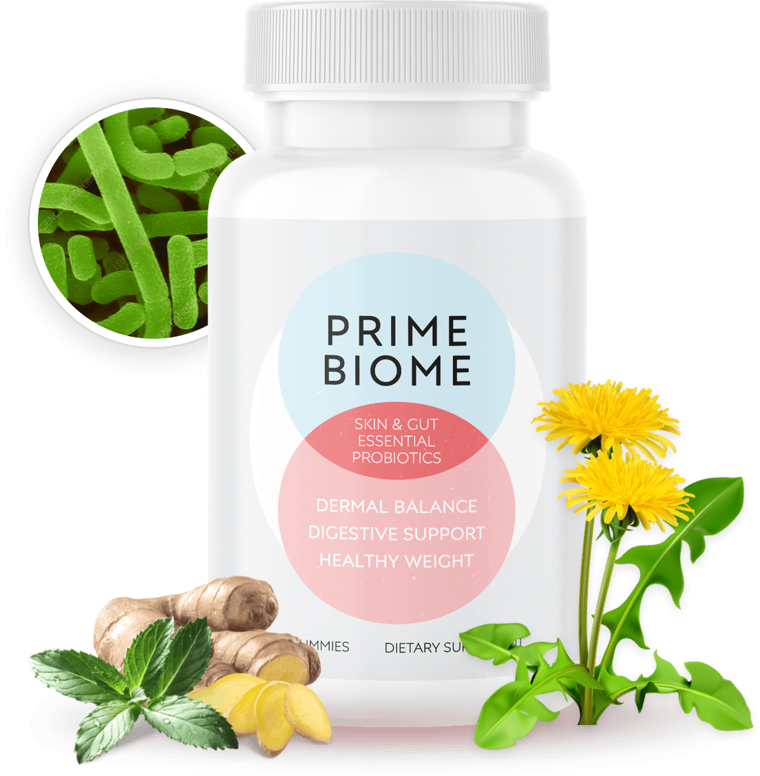 PrimeBiome single bottle with ingredients